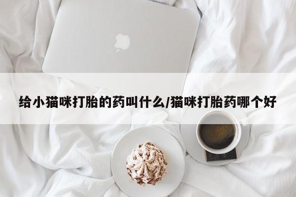 米索前列醇在线下单给小猫咪打胎的药叫什么/猫咪打胎药哪个好