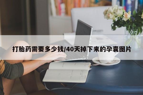 米索前列醇在线下单打胎药需要多少钱/40天掉下来的孕囊图片